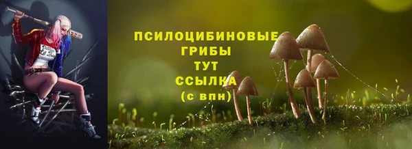 гашик Богородск