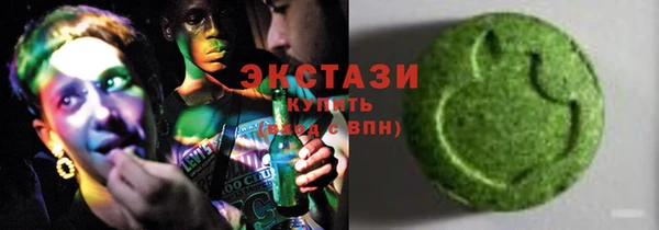 ECSTASY Богданович