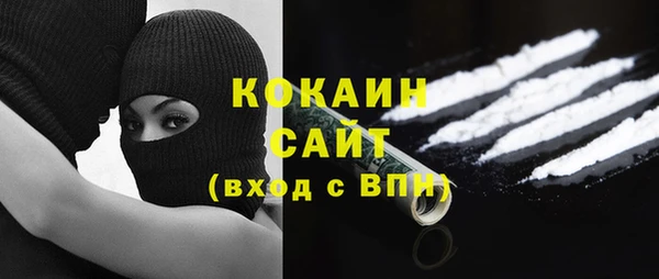ECSTASY Богданович