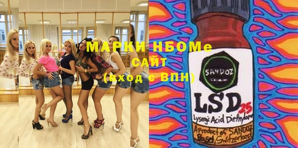 ECSTASY Богданович