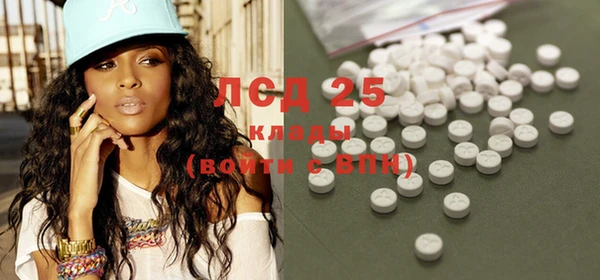 ECSTASY Богданович