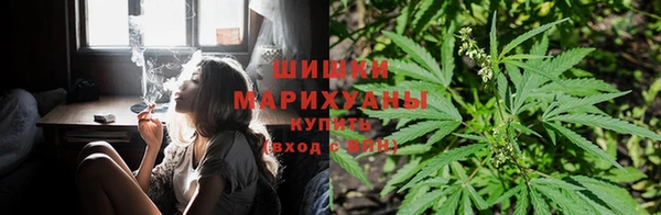 ECSTASY Богданович