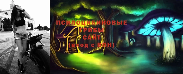 ECSTASY Богданович